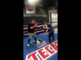 Heavyweight Andy Ruiz Cracks Estrellita With Hook To Chin