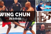 Wing Chun in MMA / UFC – (Tony Ferguson, Anderson Silva, Jon Jones)