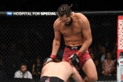 Crazy Flying Finishes in UFC History